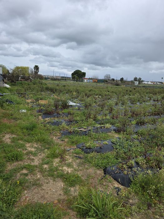 Terreno rustico com furo