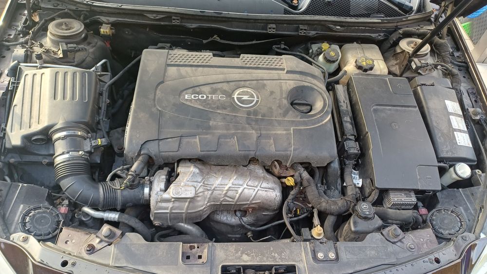 Sprzedam Opla insignie