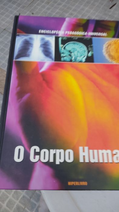 Enciclopédia pedagogia universal