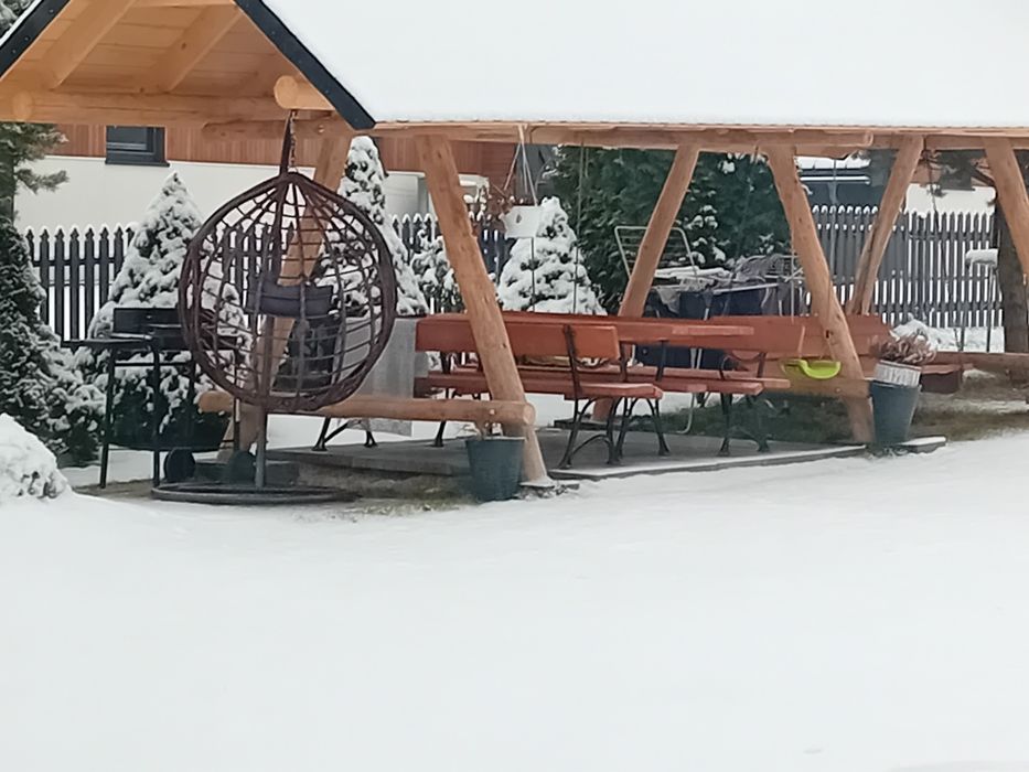 Apartament Pod Lipą