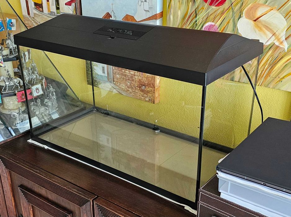 Aquário preto com luz