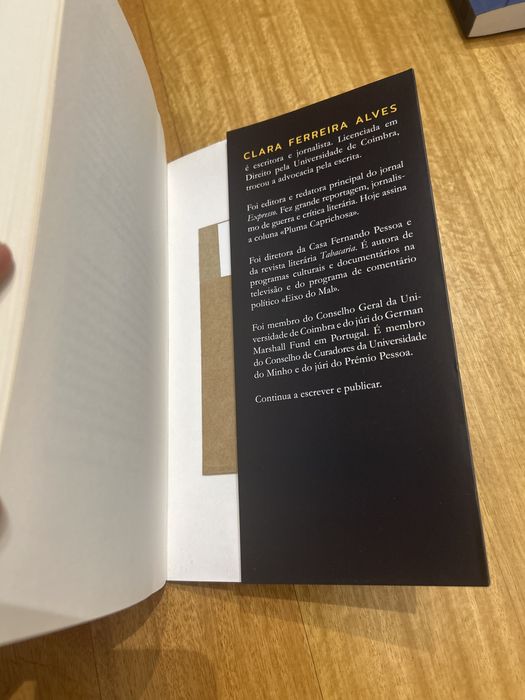 “Os suspeitos do costume”- Clara Alves Ferreira