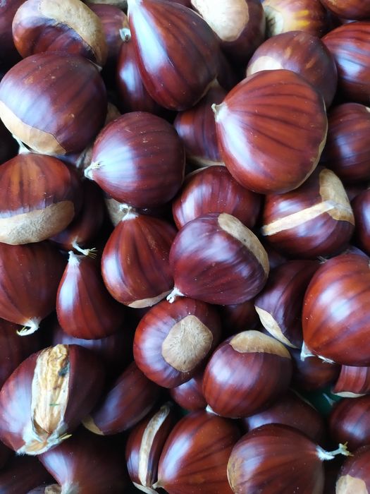 Castanhas Martainha