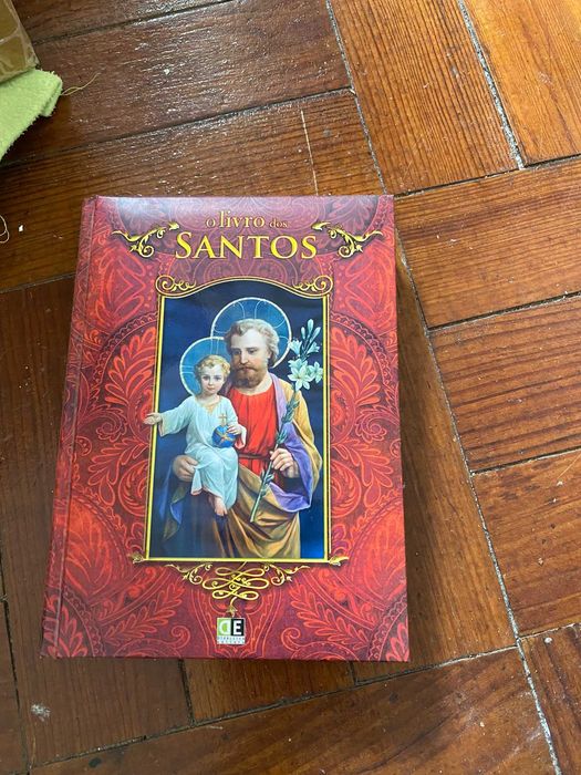 livro o livro dos santos