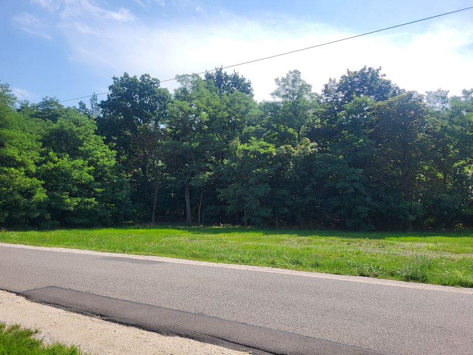 Działka Jeżewice  3300m2
