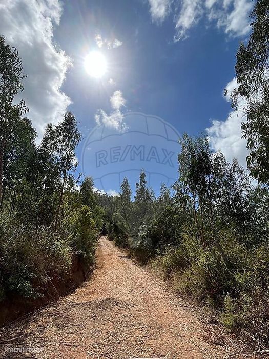 Terreno  para venda — Maçãs de Dona Maria, Leiria