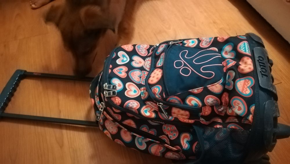 Mochila trolley Totto rapariga