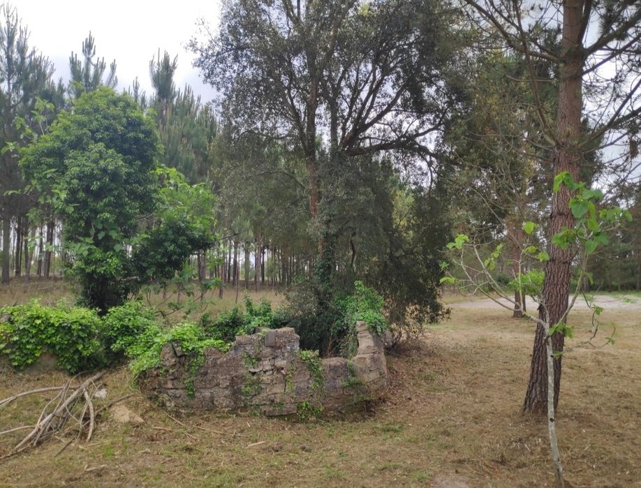 Quintinha casinha em pedra