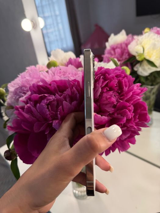Iphone 13 pro max 256 Gb