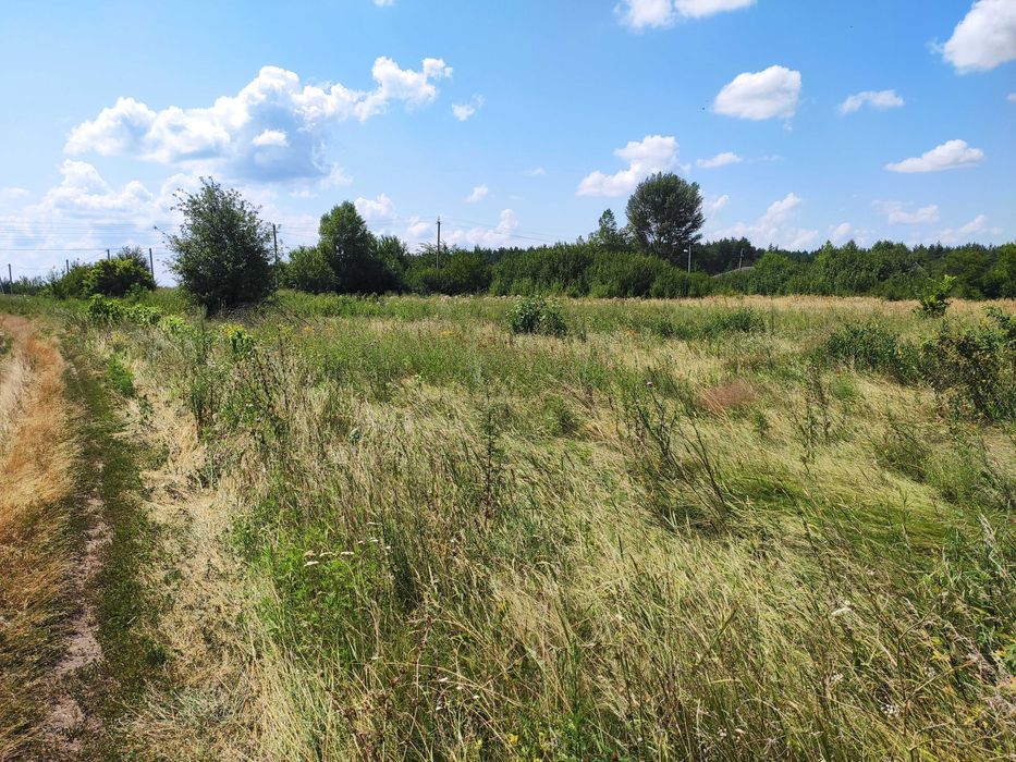 Ділянка 25 соток під забудову в с. Брунівка (Полтавський р-н)