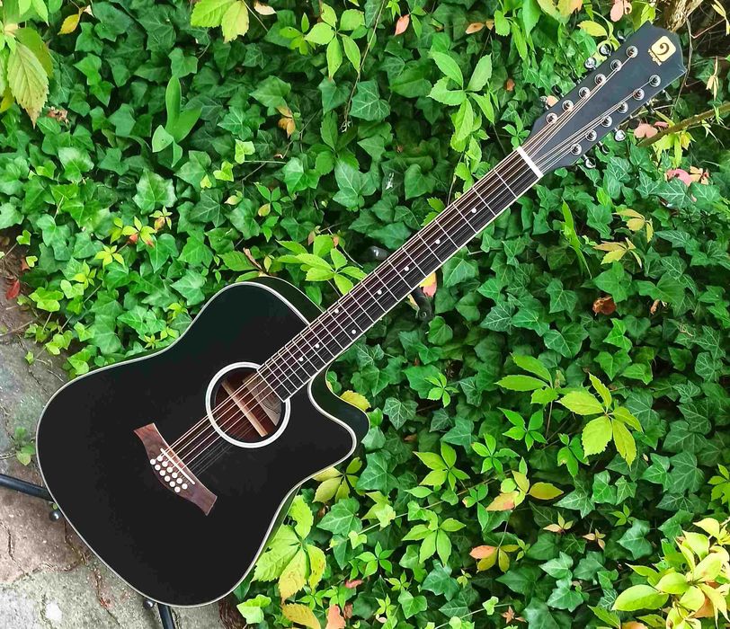 Nowa gitara elektro akustyczna 12strunowa Vangoa