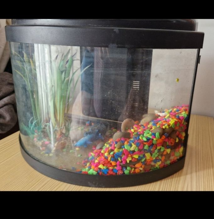 Aquário com decoração