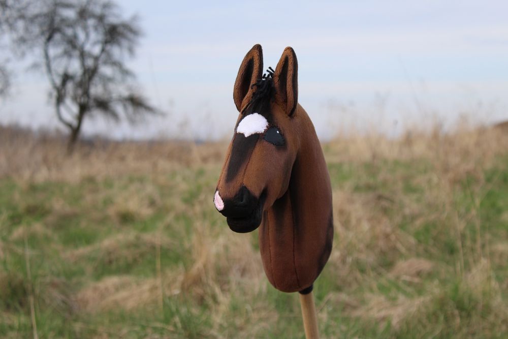 hobby horse gniady Le Pectus