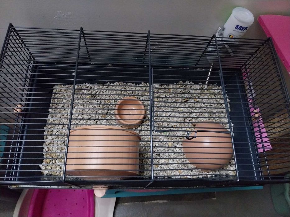 Gaiola para hamster completa - como nova