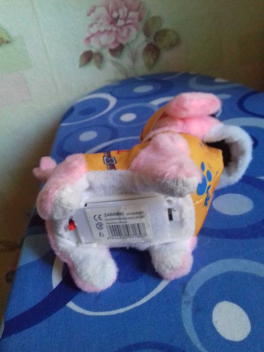 Собачка спасатель