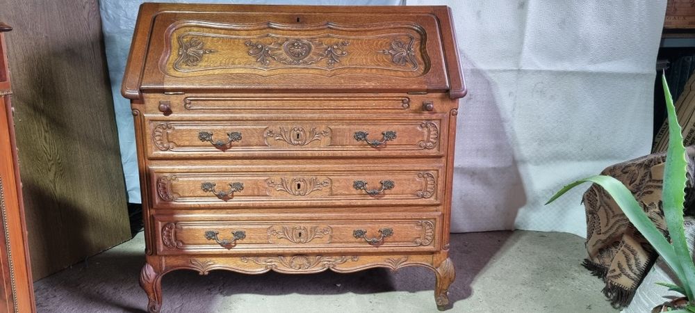 Skretarzyk Ludwikowski