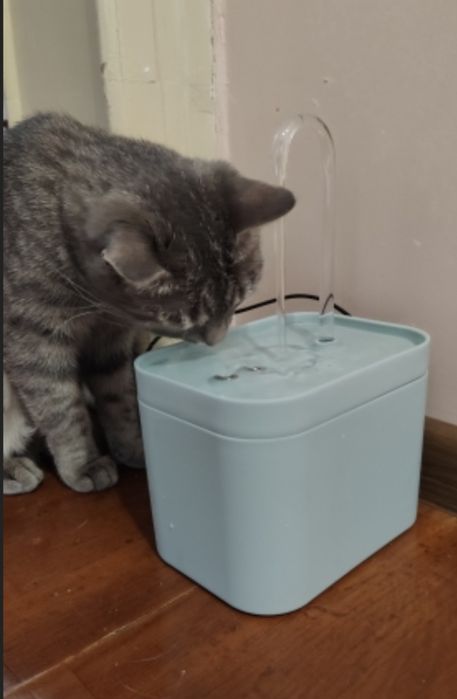 Bebedouro automático para Gatos - Ctt Grátis