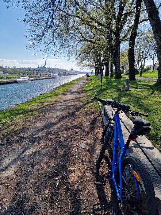 Rower MTB Trek Marlin 5