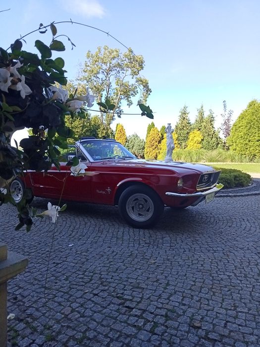 Ford Mustang do ślubu / samochód / kabriolet / klasyk / cabriolet
