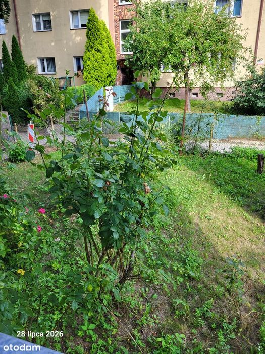 2 pokoje, 39,49 m2, parter, zielona okolica, do remontu