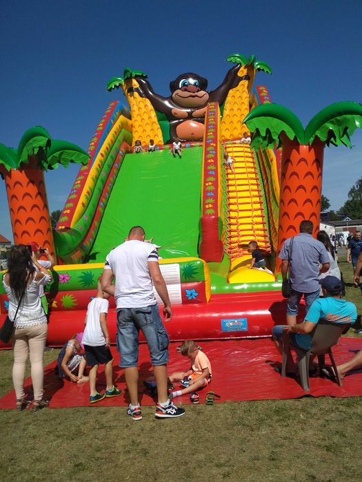 Zamek Dmuchany i Zjeżdżalnia na Festyny i Pikniki Rodzinne