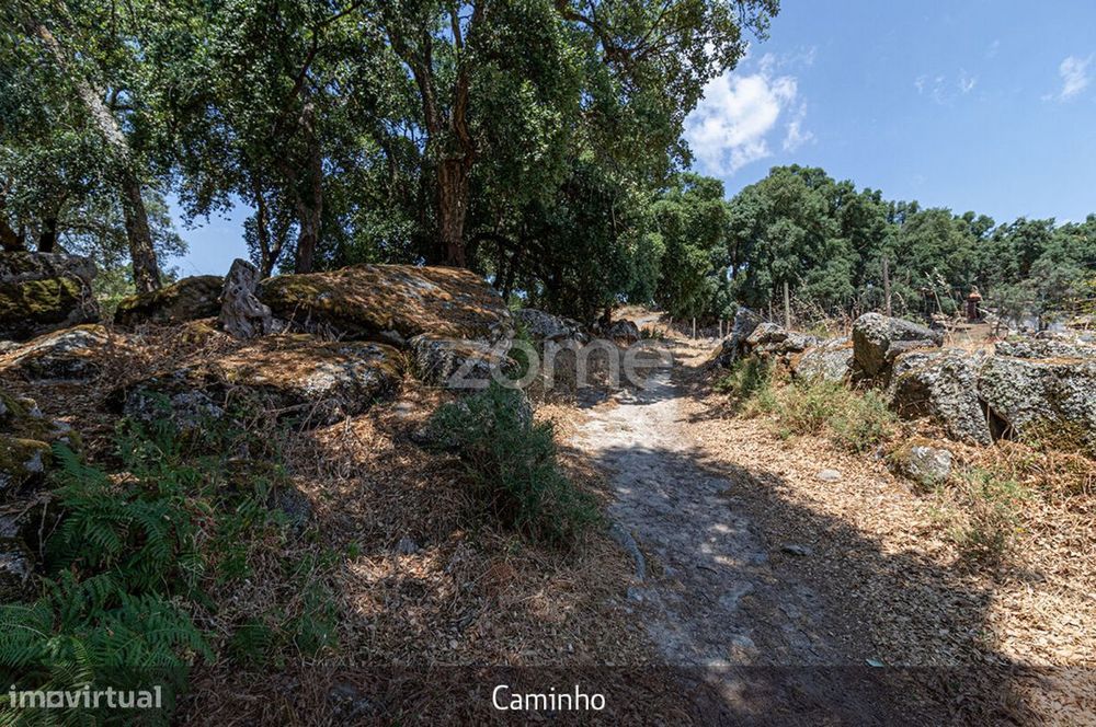 Quintinha - Lousa, Torre de Moncorvo, Portugal