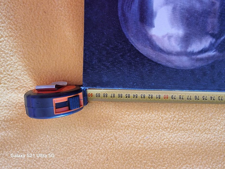 Rectangular Skull Painting64550241244419122