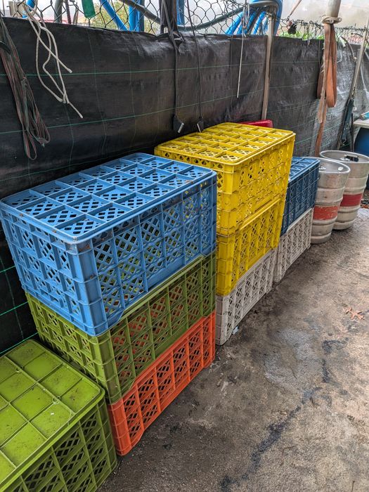 Conjunto de Cestos de Arrumação Empilháveis