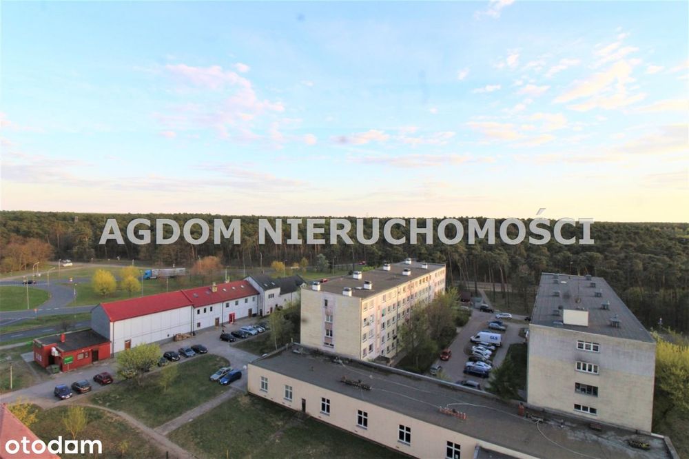 39 M kw przy lesie