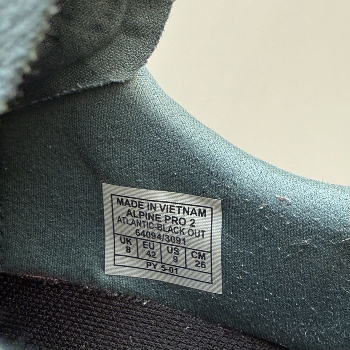 Dynafit Alpine Pro 2 трейлові кросівки salewa