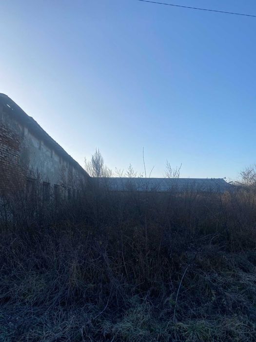 Нежитлові приміщення (ферма)