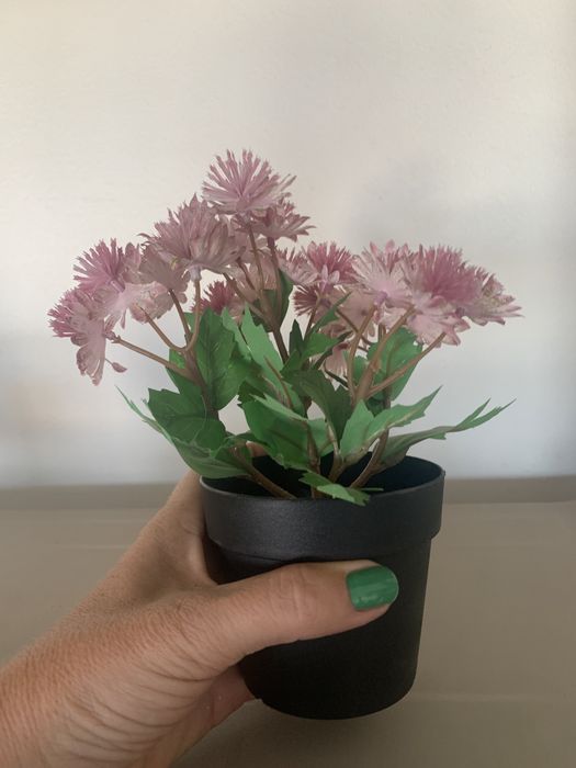 Decorações várias