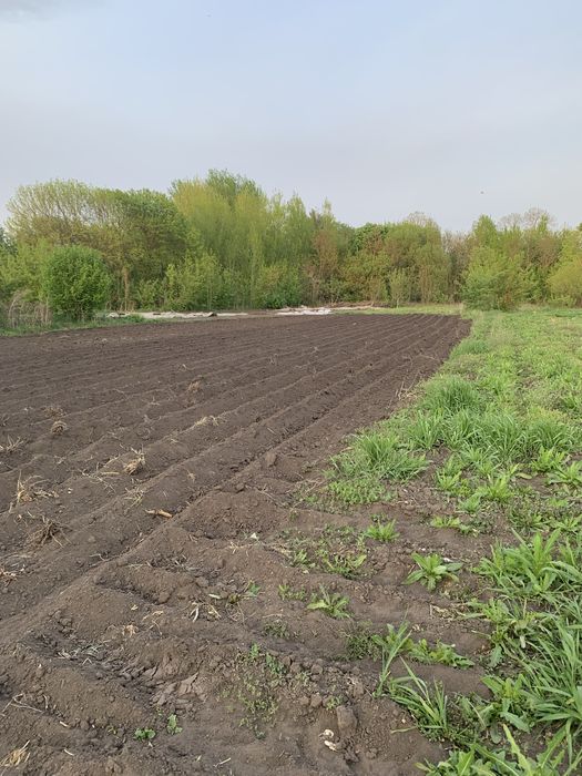 Продаж дачної ділянки під дачу або забудову