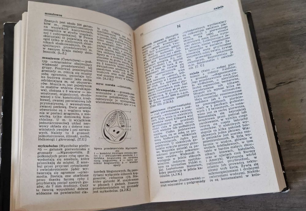 Mały słownik zoologiczny Bezkręgowce stan bdb