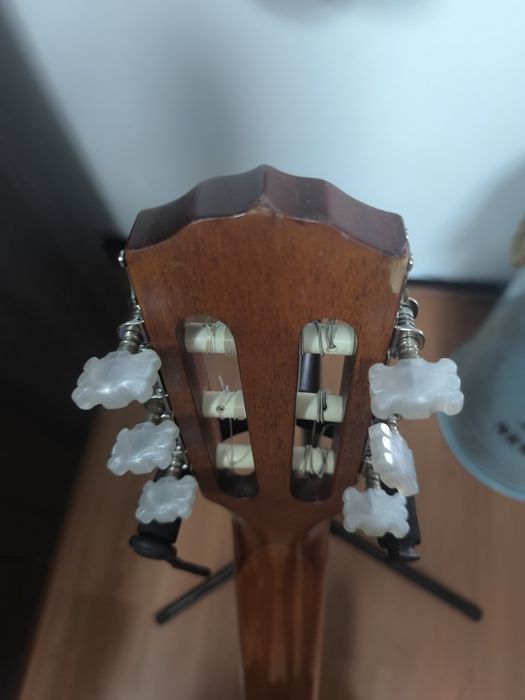 Fender Classical Guitar511045000160890882