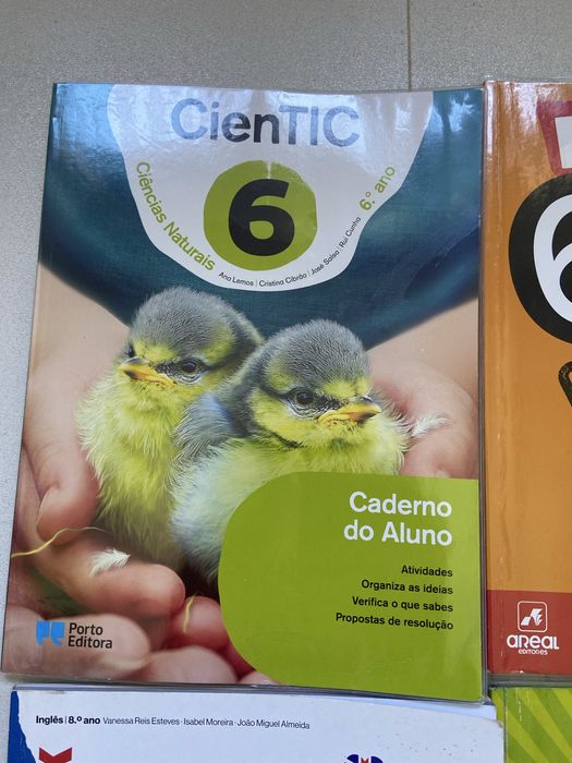 Cadernos de atividades de 5, 6, e 8 anos