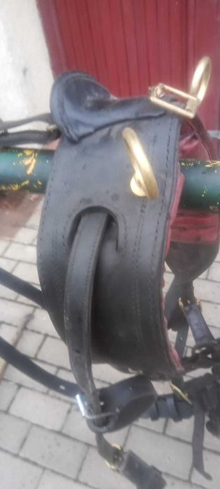 sprzedam puszory dla konia