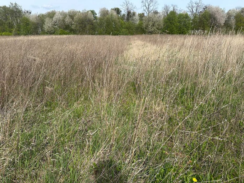 Продам фасадну ділянку в Ксаверівці