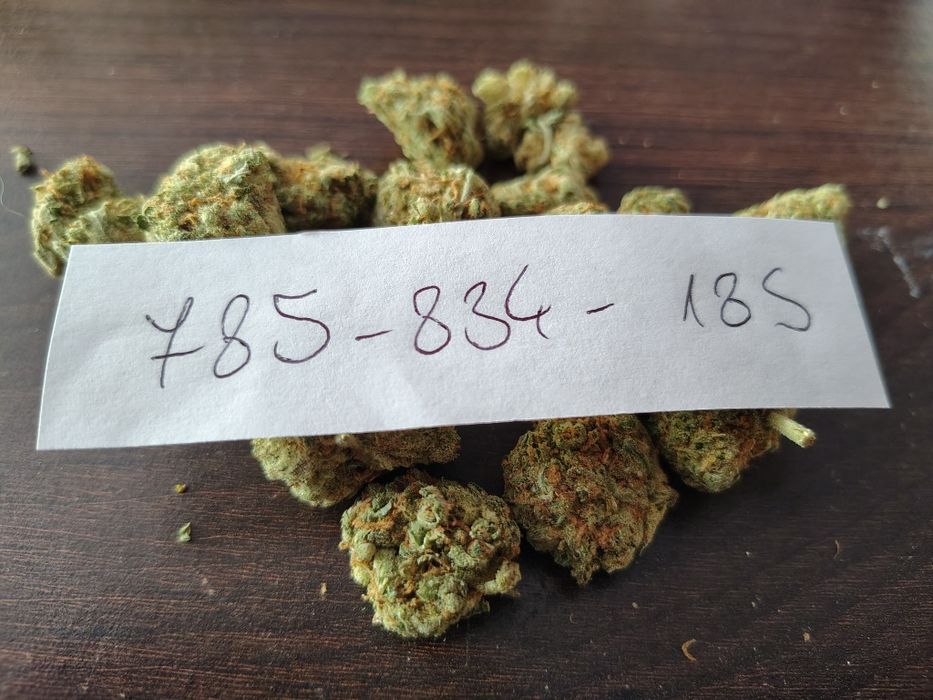 Dowóz 24H Susz CBD White Widow AK-47 Purple Haze Amnesia THC <0,3%