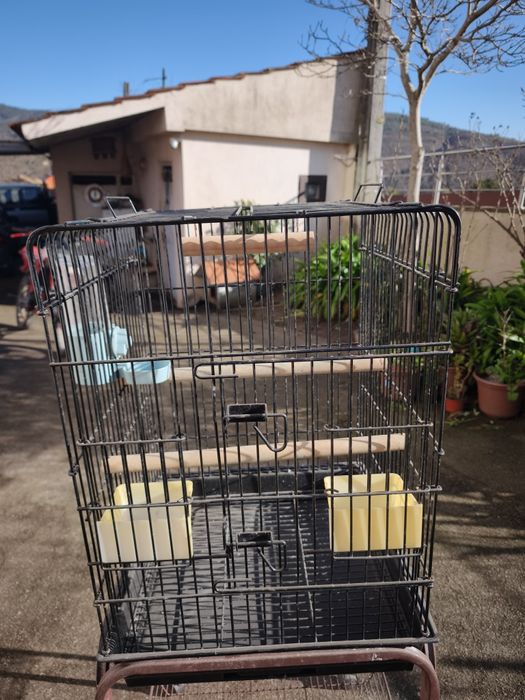 Gaiola para pássaro