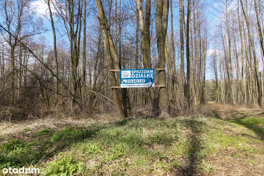 Działki rekreacyjne i mieszkaniowe blisko Łodzi - Widok 4