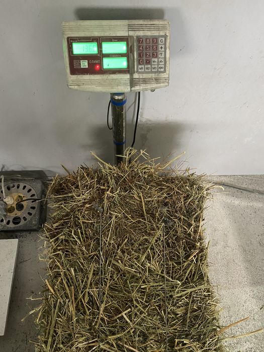 Продам тюковане сіно різнотрав’я