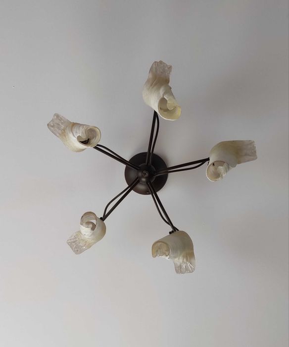 Ceiling Lamps
