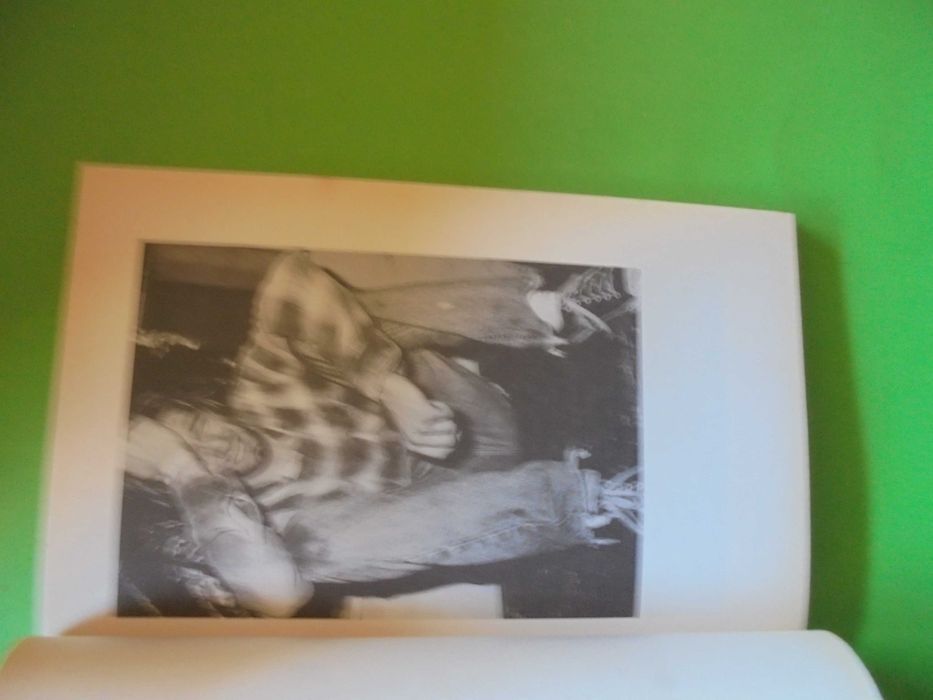 Cobain (Kurt);Odeio-me e quero Morrer