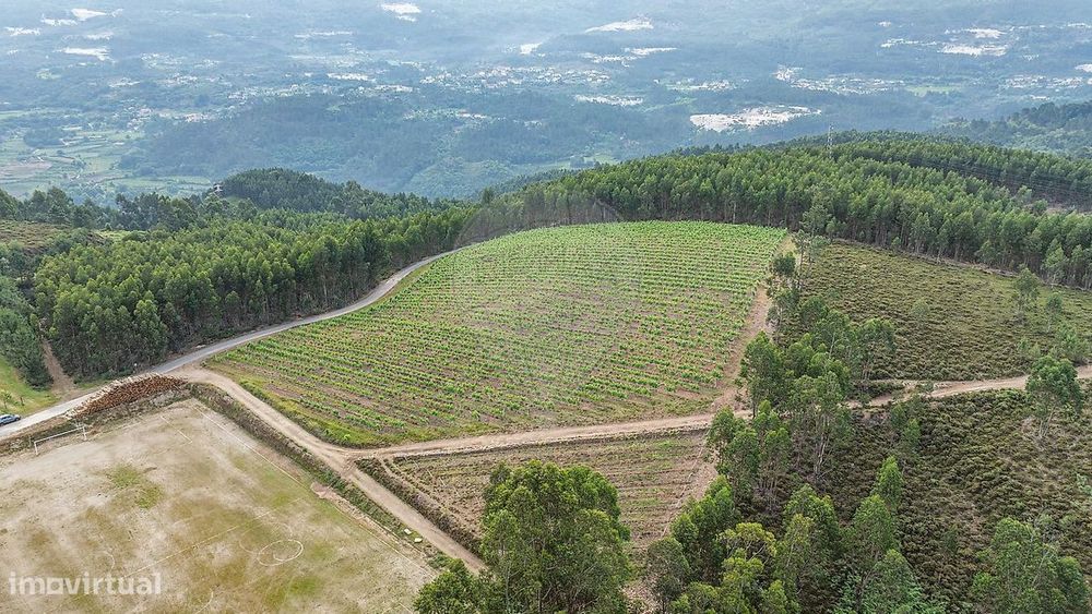 Terreno  para venda
