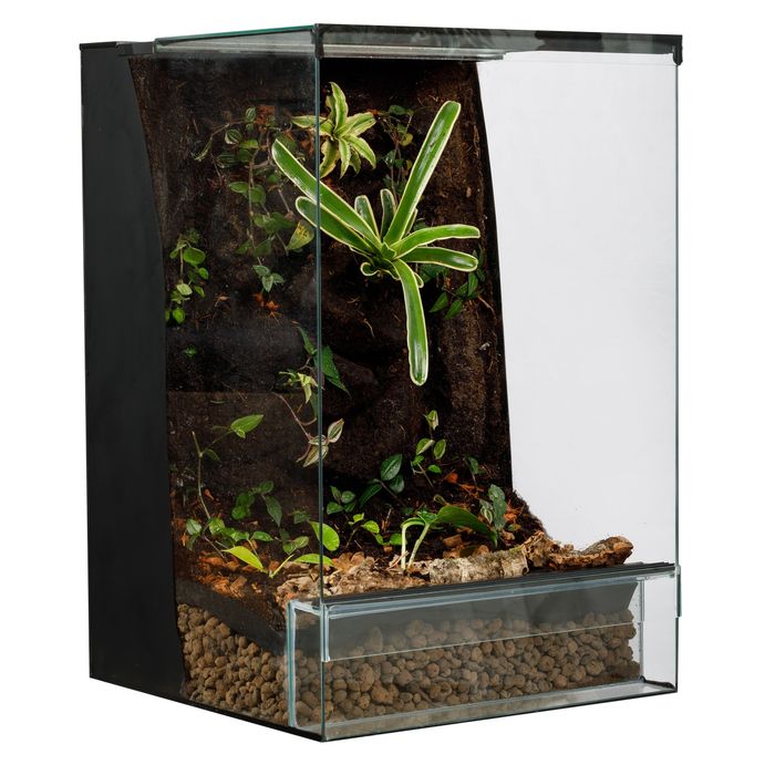 Terrarium tropikalne 40x40x60 gekon paludarium