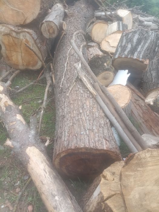 Lenha bem seca e madeira