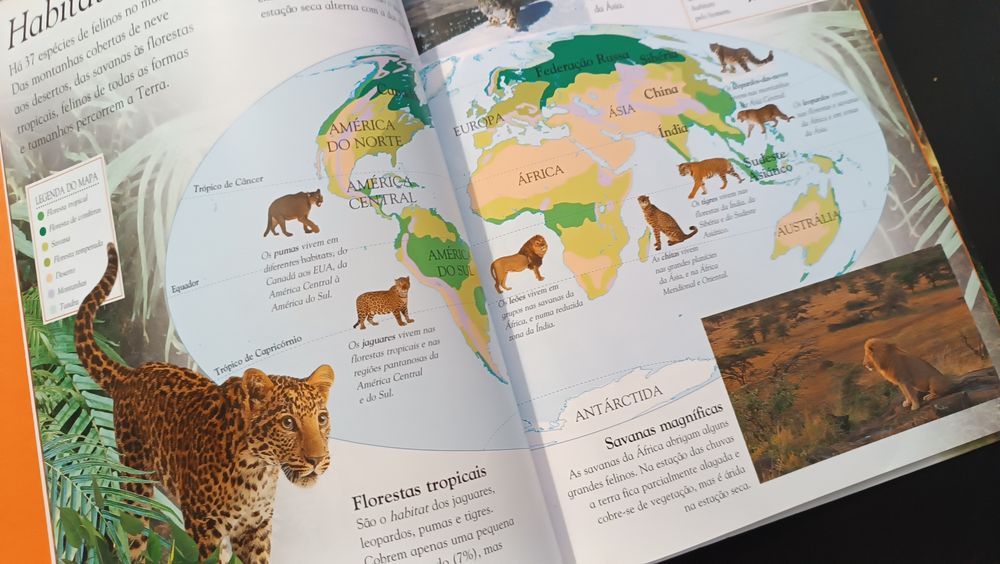 Livro Animais Grandes Felinos. Como Novo