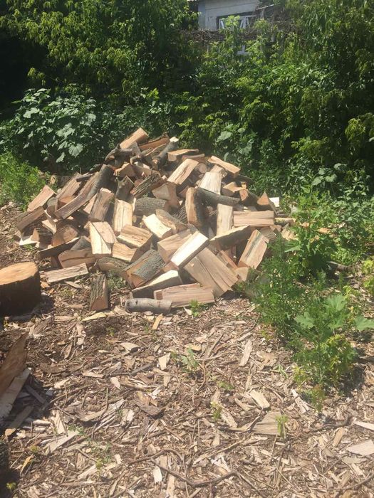 Дрова колотые дуб