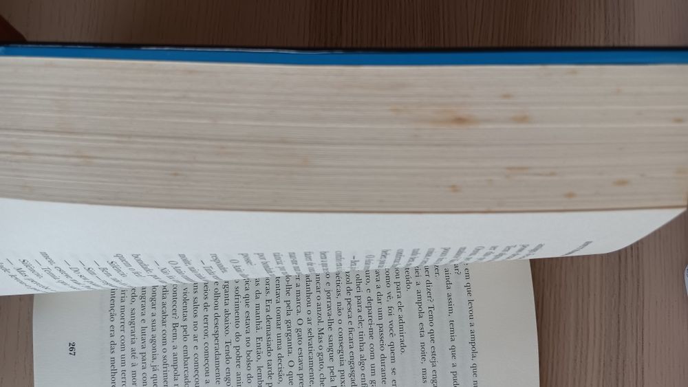 Knut Hamsun, Mistérios